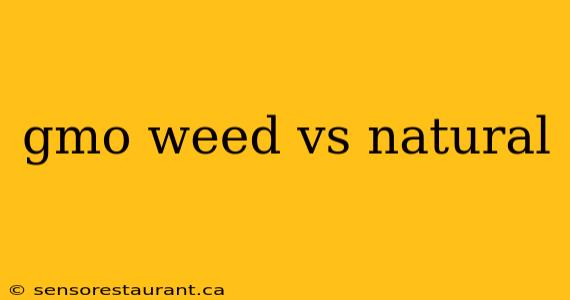 gmo weed vs natural