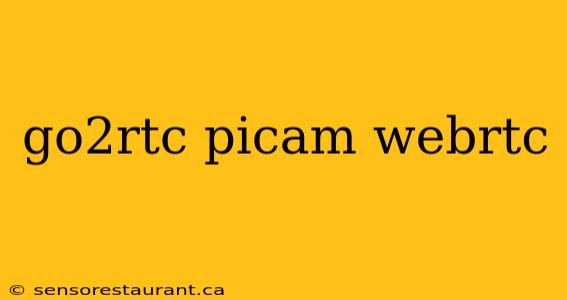 go2rtc picam webrtc