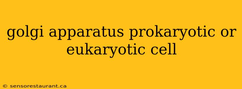 golgi apparatus prokaryotic or eukaryotic cell