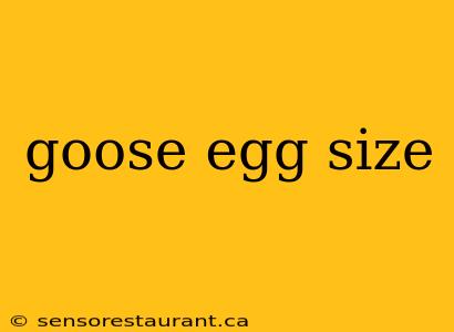 goose egg size