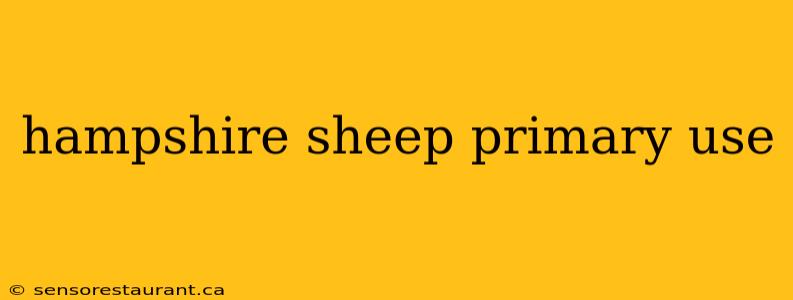 hampshire sheep primary use