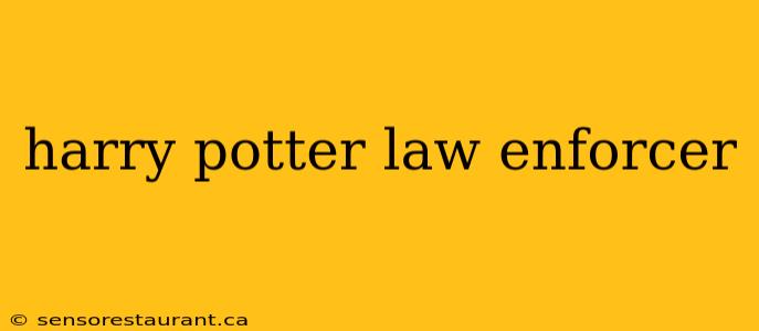 harry potter law enforcer