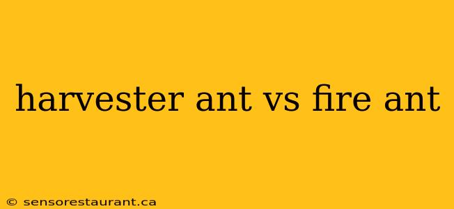 harvester ant vs fire ant