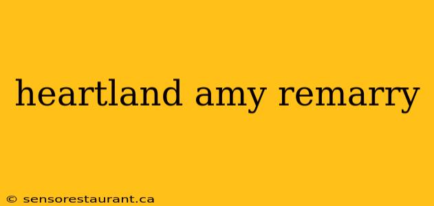 heartland amy remarry