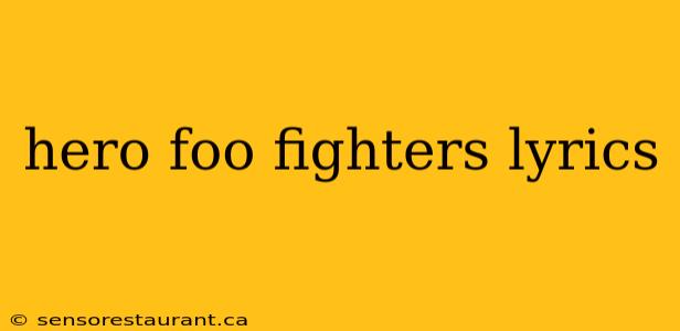 hero foo fighters lyrics