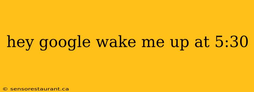 hey google wake me up at 5:30