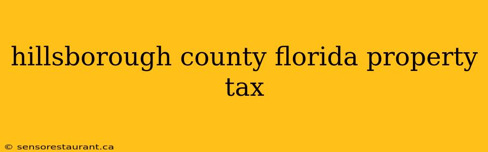 hillsborough county florida property tax