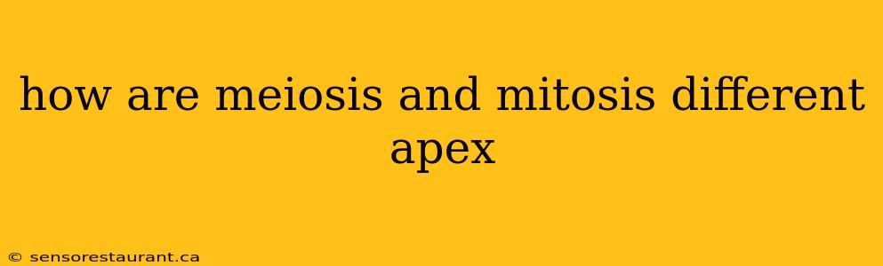 how are meiosis and mitosis different apex