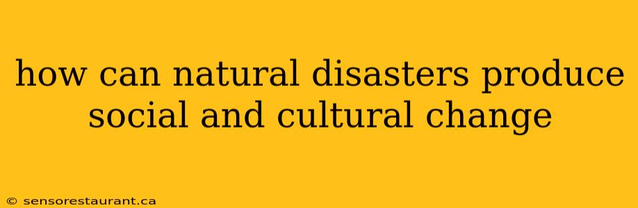 how can natural disasters produce social and cultural change