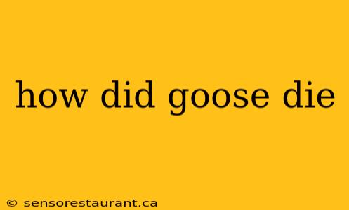 how did goose die