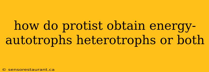 how do protist obtain energy- autotrophs heterotrophs or both