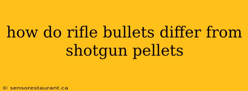 how do rifle bullets differ from shotgun pellets