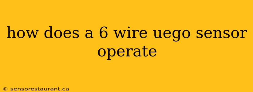 how does a 6 wire uego sensor operate