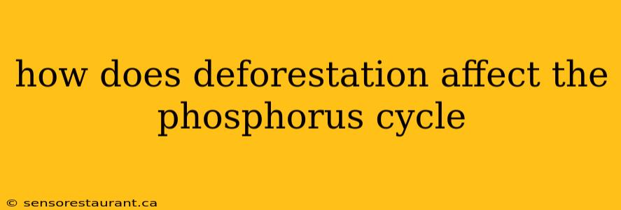 how does deforestation affect the phosphorus cycle