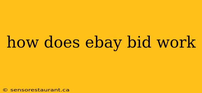 how does ebay bid work