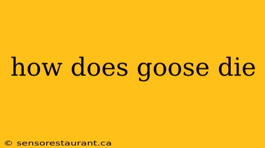 how does goose die