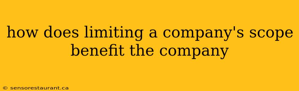 how does limiting a company's scope benefit the company