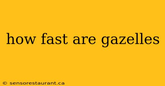 how fast are gazelles