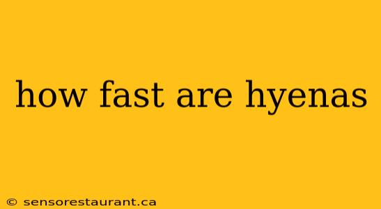 how fast are hyenas