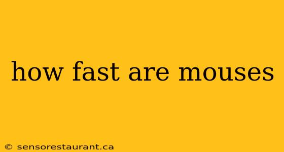 how fast are mouses