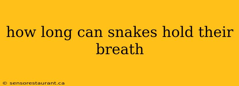 how long can snakes hold their breath