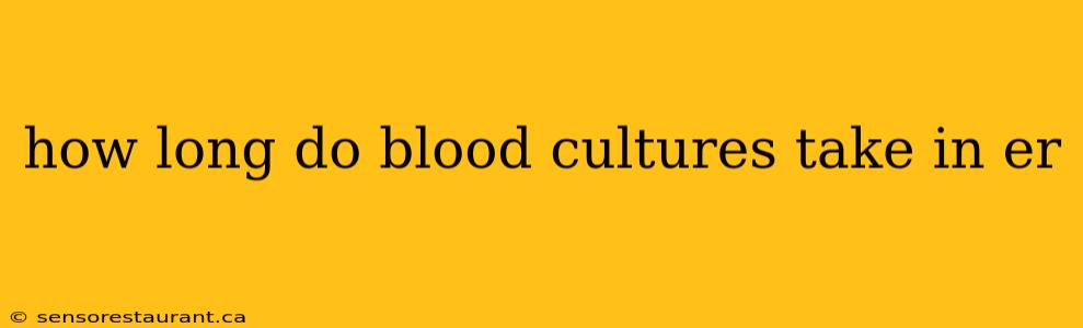 how long do blood cultures take in er