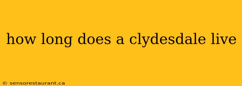 how long does a clydesdale live