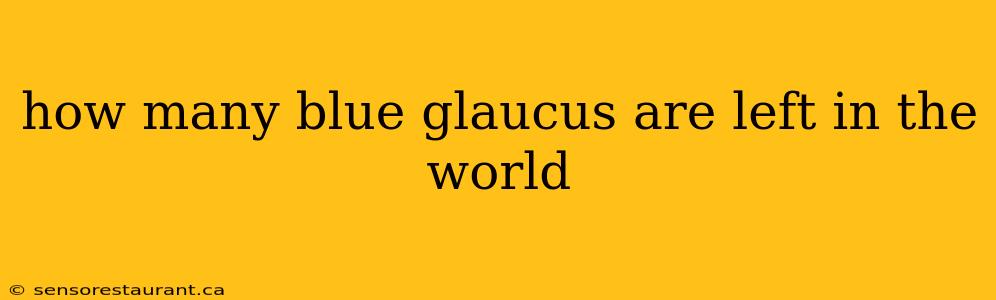 how many blue glaucus are left in the world