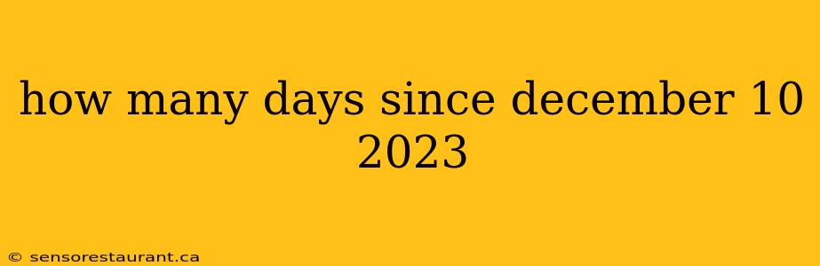 how many days since december 10 2023