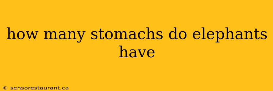 how many stomachs do elephants have