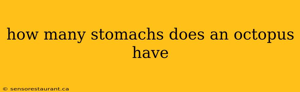 how many stomachs does an octopus have