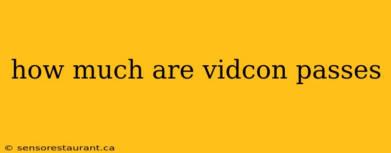 how much are vidcon passes