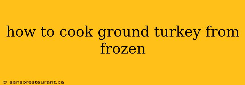 how to cook ground turkey from frozen