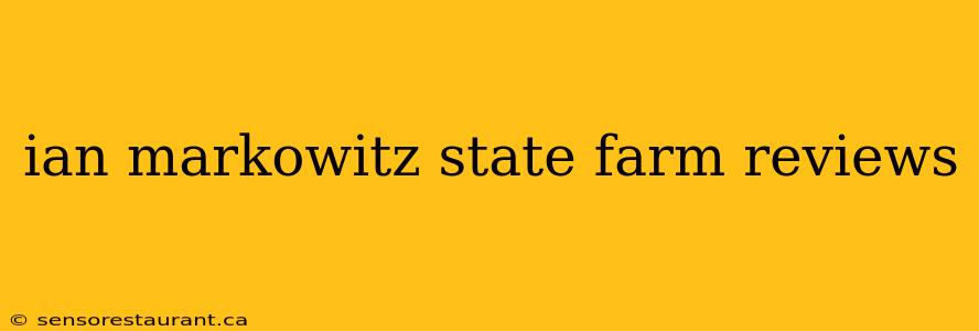 ian markowitz state farm reviews