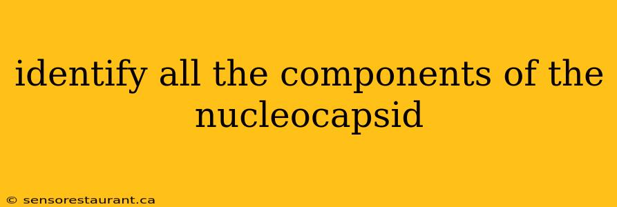 identify all the components of the nucleocapsid