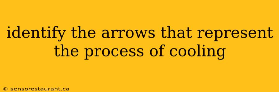 identify the arrows that represent the process of cooling