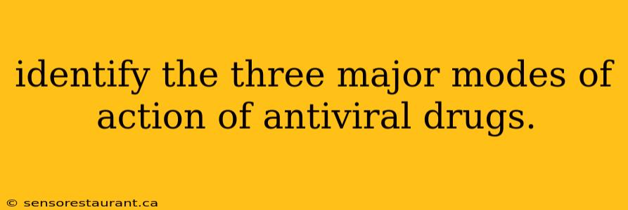 identify the three major modes of action of antiviral drugs.