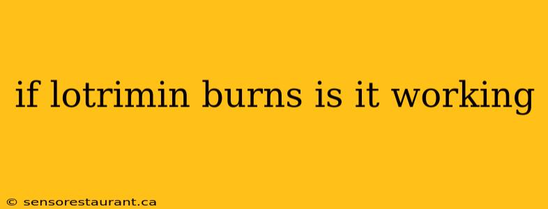 if lotrimin burns is it working