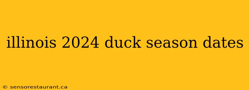 illinois 2024 duck season dates