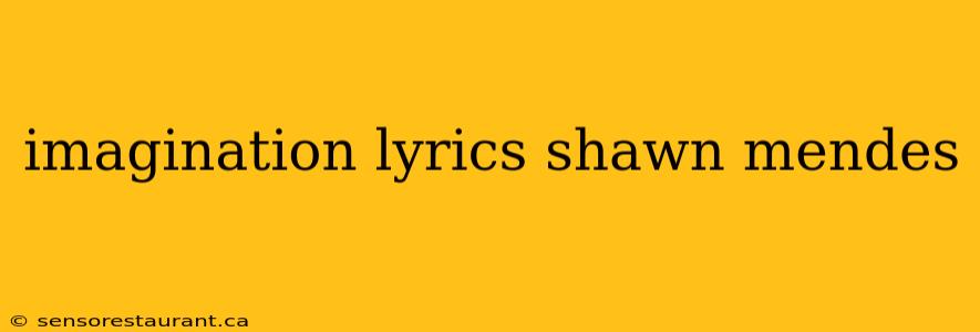 imagination lyrics shawn mendes