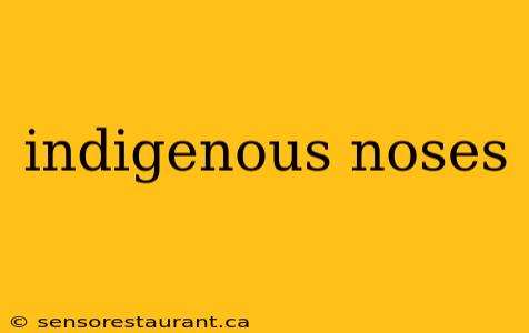 indigenous noses