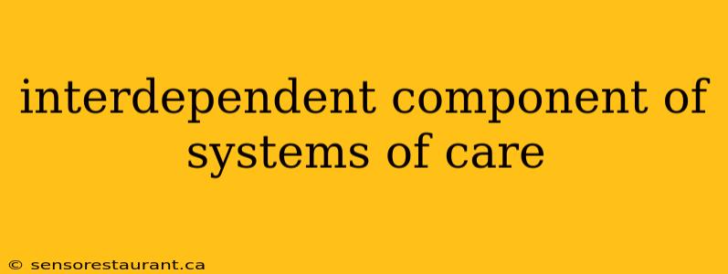 interdependent component of systems of care