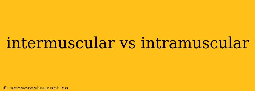 intermuscular vs intramuscular