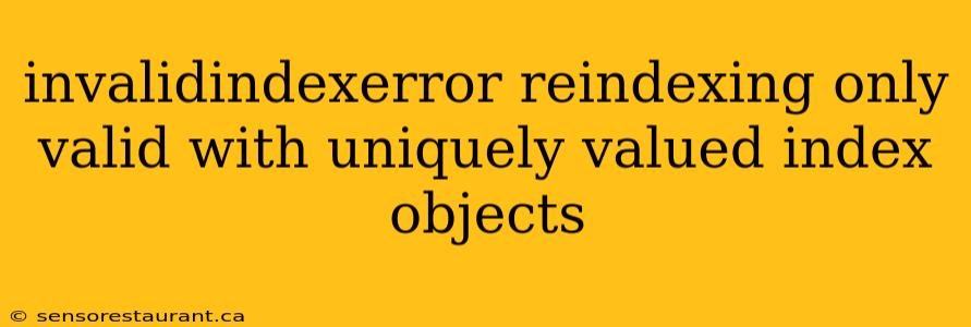 invalidindexerror reindexing only valid with uniquely valued index objects