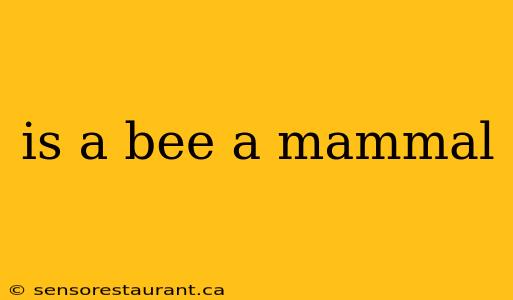 is a bee a mammal