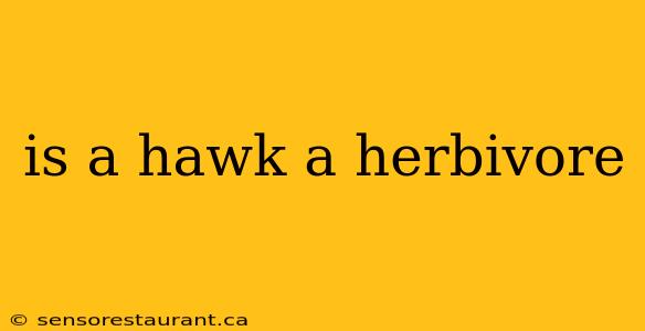 is a hawk a herbivore