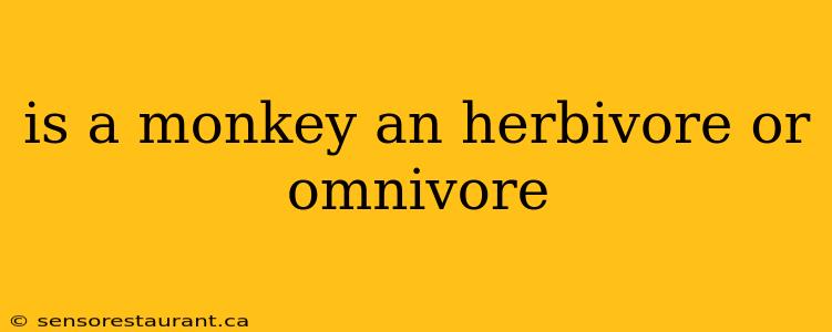 is a monkey an herbivore or omnivore