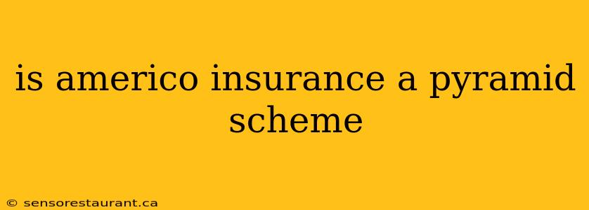 is americo insurance a pyramid scheme