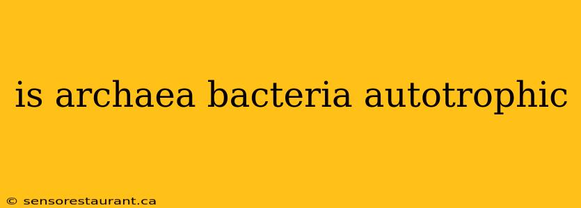 is archaea bacteria autotrophic