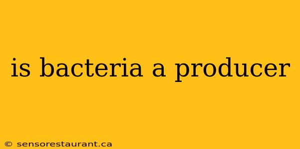 is bacteria a producer